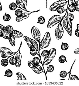 Hand drawn vector blueberries branches pattern. Blueberries graphic textile pattern. Blueberries sketch illustration.