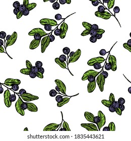 Hand drawn vector blueberries branches pattern. Blueberries graphic textile pattern. Blueberries sketch illustration.