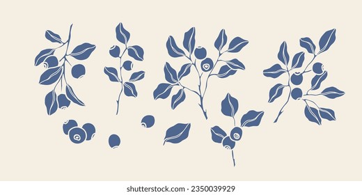 Hand drawn vector blueberry collection