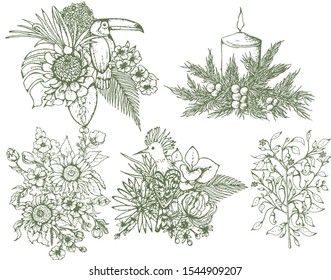 Hand drawn vector botanic set with branch, flowers, candle, bird.