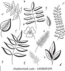 Hand drawn vector botanical branches, twigs and leaves. Set of simple floral design elements. Isolated on white.