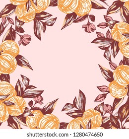 Hand drawn vector botanical frame
of a fruit branch. Branch with oranges