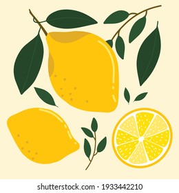 Hand Drawn Vector Botanical Illustration With Lemons And Leaves. Elegant Minimalists Botanical Style Fruit Illustration. 