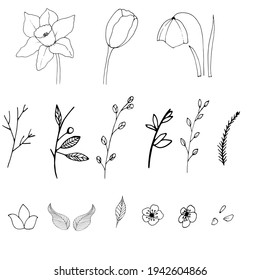 Hand drawn vector botanical illustration. Spring set.