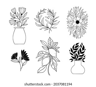 Hand drawn vector botanical illustrations. Linear flowers, vase, leaves, fruits, silhouette. Simple graphics. Perfect for logos, branding, invitations, greeting cards, quotes, blogs, wedding frames