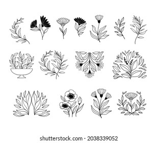 Hand drawn vector botanical illustrations. Linear flowers, leaves, fruits. Simple graphics. Perfect for logos, branding, invitations, greeting cards, quotes, blogs, wedding frames