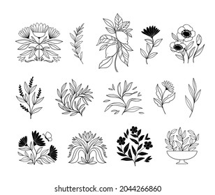 Ilustraciones botánicas vectoriales dibujadas a mano. Flores lineales, hojas, frutas. Gráficos simples. Perfecto para logotipos, marca, invitaciones, tarjetas de felicitación, citas, blogs, marcos de boda