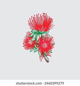 hand drawn vector botanical Ohia lehua