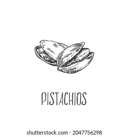 Ilustración de pistachos botánicos vectoriales dibujados a mano. Nueces exóticas con hojas en cáscara. Piezas alimenticias orgánicas de naturaleza saludable. Imágenes de contorno aisladas para diseño, embalaje, menú