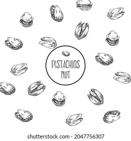 Hand drawn vector botanical pistachios illustration. Exotic nuts with leaves in a shell. Healthy nature organic food pieces. Isolated outline images for design, packaging, menu