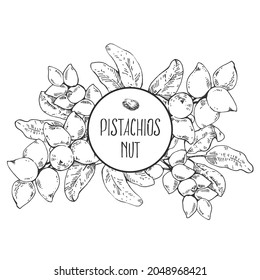 Hand drawn vector botanical pistachios illustration. Exotic nuts with leaves in a shell. Healthy nature organic food pieces. Isolated outline images for design, packaging, menu