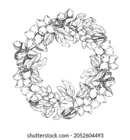 Hand drawn vector botanical pistachios illustration. Exotic nuts with leaves in a shell. Healthy nature organic food pieces. Isolated outline images for design, packaging, menu