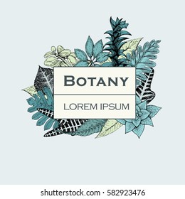 Hand drawn vector botany illustration. Vintage background.