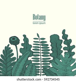 Hand drawn vector botany illustration. Vintage background.