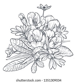 Hand drawn vector bouquet of spring flowers and leaves on white background. Romantic greeting card in black and white colors. Sketch graphic style.