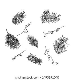 Hand drawn vector branch and berry set illustration for christmas time 