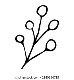 Clíparte de rama vector dibujada a mano. Ilustración de hierba aislada en fondo blanco. Doodle botánico para impresión, web, diseño, decoración, logotipo.
