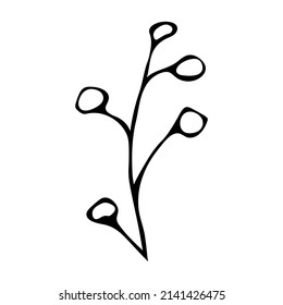 Clíparte de rama vector dibujada a mano. Ilustración de hierba aislada en fondo blanco. Doodle botánico para impresión, web, diseño, decoración, logotipo.