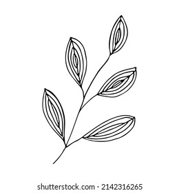 Hand drawn vector branch clipart. Herb illustration isolated on white background. Botanical doodle for print, web, design, decor, logo.