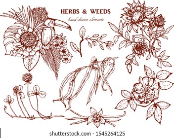 Hand drawn vector  with branch, flowers, bird.