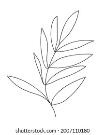 Rama vectorial dibujada a mano con hojas. Flor de rama de perro.