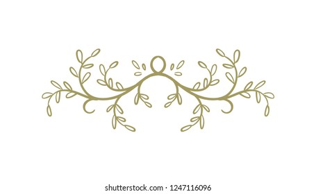 Hand drawn vector branches with leaves, for wedding decoration.