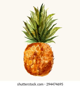 Hand drawn vector bright pineapple in watercolor technique. 