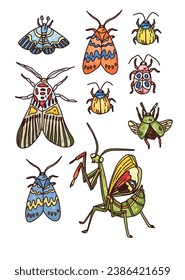 hand drawn vector bright set of butterfly and bugs. Cartoon art with hand drawn insect.