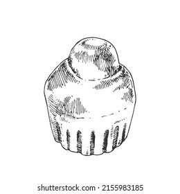 Ilustración de brioche bun vector dibujado a mano. Pan de postre al horno francés. Rollo base para rellenar o colocar una plantilla para el diseño, el embalaje, el menú, la etiqueta, el banner y el anuncio