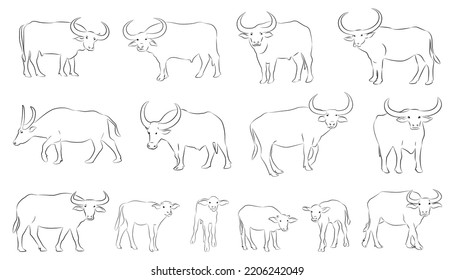 Hand Drawn Vector Buffalo Sketch Illustration Stock Vector (Royalty ...