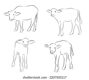  Hand drawn vector buffalo sketch illustration set. Isolated on white background.vector isolated buffalo with black color design illustration