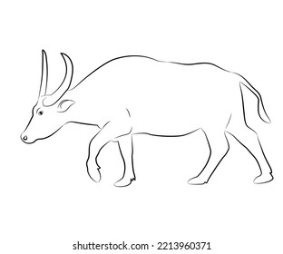  Hand drawn vector buffalo sketch illustration set. Isolated on white background.vector isolated buffalo with black color design illustration