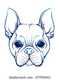 Hand drawn vector bulldog