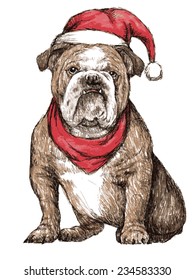 hand drawn vector of bulldog with christmas hat on white background