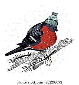 Hand drawn vector bullfinch bird on white sitting on a branch
