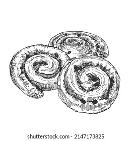 Hand drawn vector buns with raisins illustration. French pains aux raisins dessert image. Sweet rolls fresh baked template for ad, menu, design label.