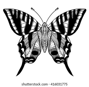 Mariposa vectorial dibujada a mano aislada en fondo blanco