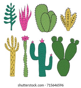 Hand drawn vector cacti