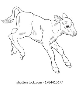 Baka Drawing Calf, Baby cow, cartoon, fictional Character, snout png |  PNGWing