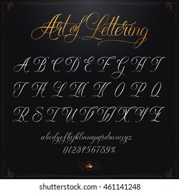 Hand drawn vector calligraphy
