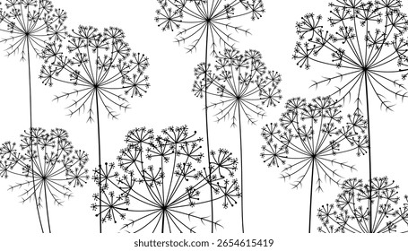 Hand drawn vector carrot flowers, black and white background