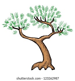 Hand drawn, vector, cartoon illustration of pine