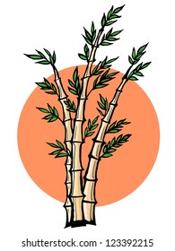 Hand drawn, vector, cartoon illustration of bamboo