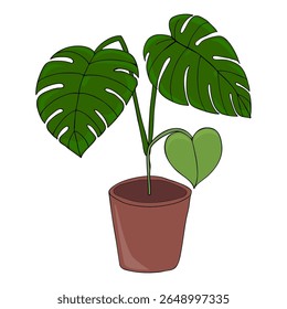Hand drawn vector cartoon illustration of monstera plant with big green split leaves in a brown pot on white background. Perfect for home decor,  summer and botanical designs, posters, stickers