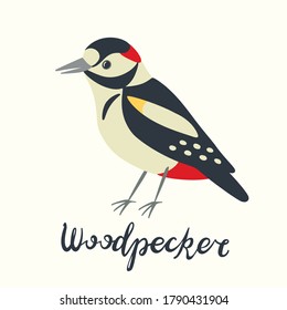 Hand drawn vector cartoon woodpecker isolated on white background 