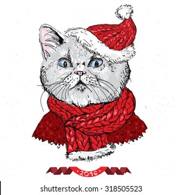 hand drawn vector of cat with christmas hat on white background