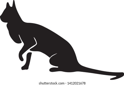 Hand Drawn Vector Cat Silhouette.  Isolated On White Element