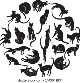 Hand Drawn Vector Cat Silhouette  Isolated On White set