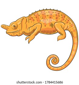 Vector dibujado a mano de camaleón aislado sobre fondo blanco. Ilustración de colorido lagarto.