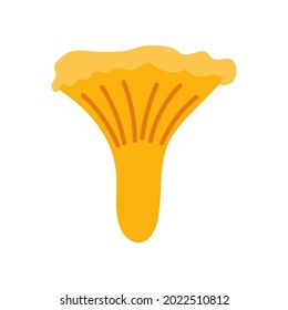 Hand drawn vector chanterelle mushroom.